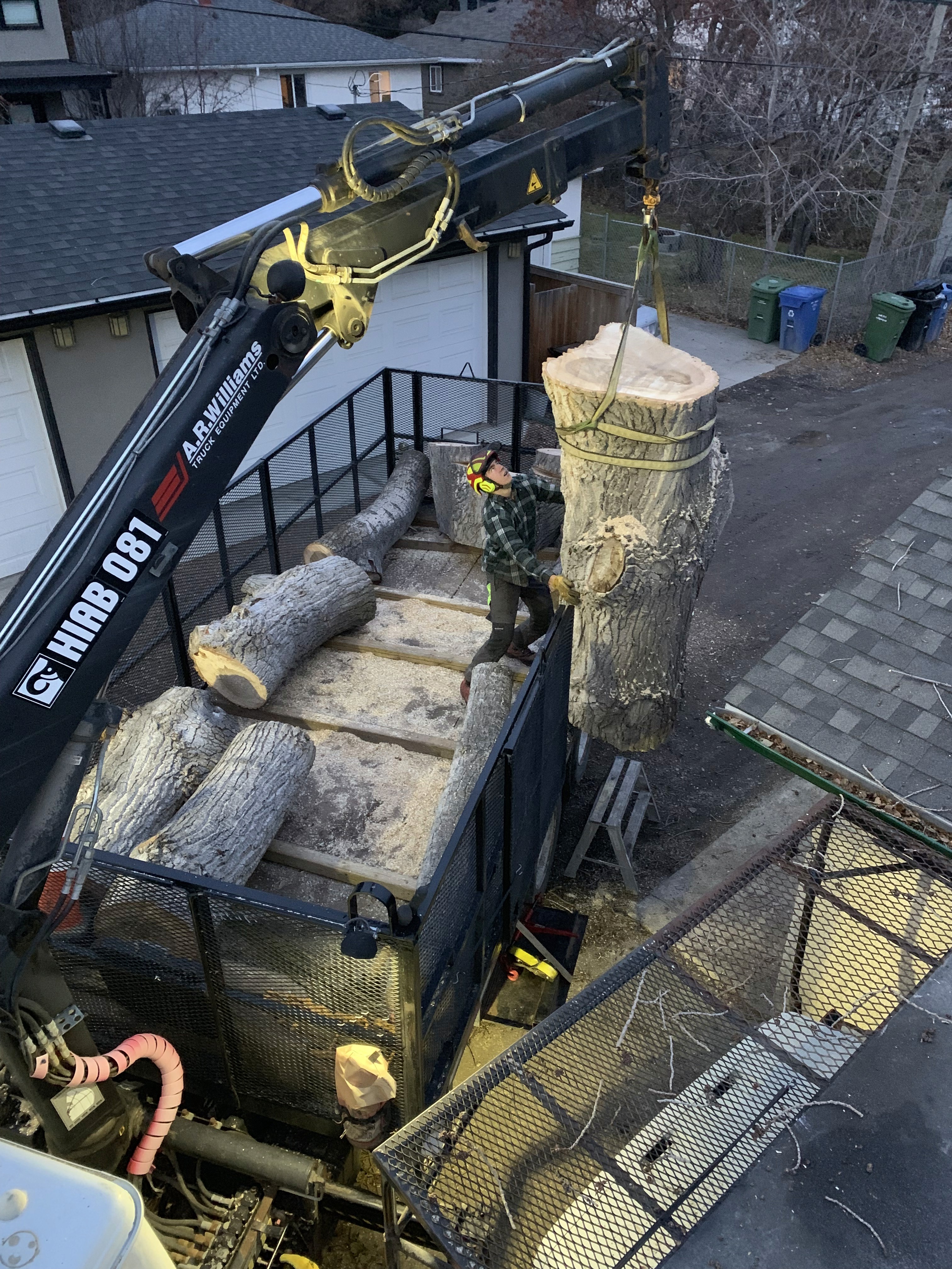 Tree Removal service
